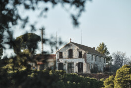 STEFAN SIMAK - photographer | ux/ui designer