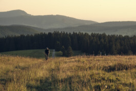 STEFAN SIMAK - photographer | ux/ui designer