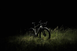 STEFAN SIMAK - photographer | ux/ui designer