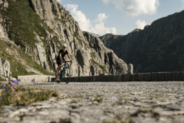 STEFAN SIMAK - photographer | ux/ui designer