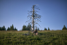 STEFAN SIMAK - photographer | ux/ui designer